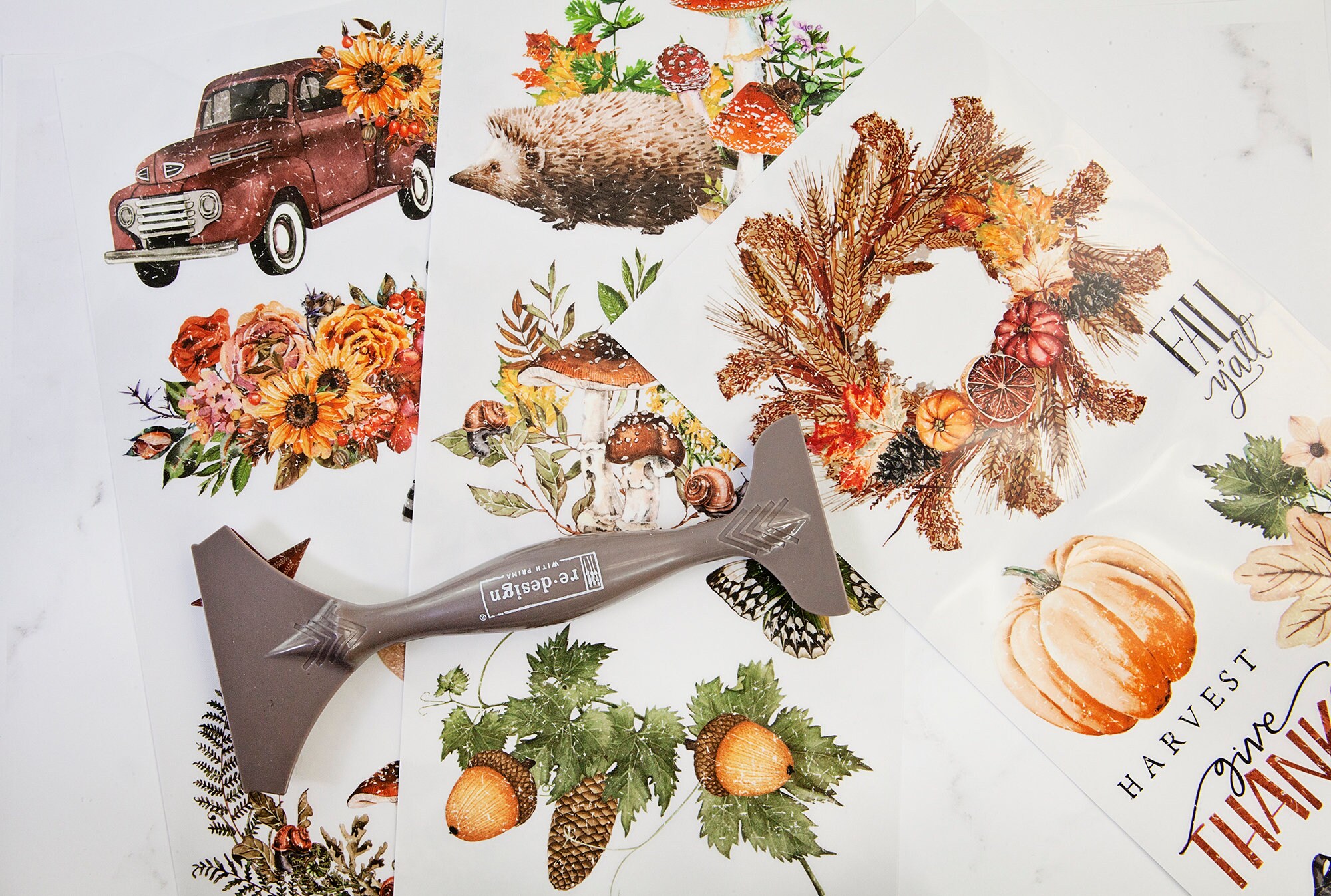 Essential Decals Autumn Essentials - Decor Rub-on Transfer: Fall Essentials, DIY ...