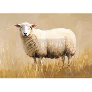 May include: A painting depicting a white sheep in a field of dry grass. The sheep is facing forward with a fluffy coat. The background is a soft, muted beige, creating a pastoral scene.