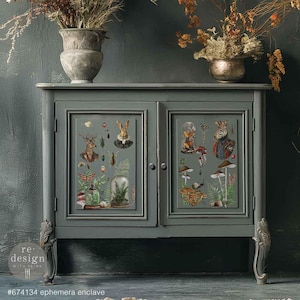 May include: A dark grey cabinet with two doors, each decorated with a whimsical collage of animal and insect illustrations. The cabinet has ornate feet and is set against a dark green wall.