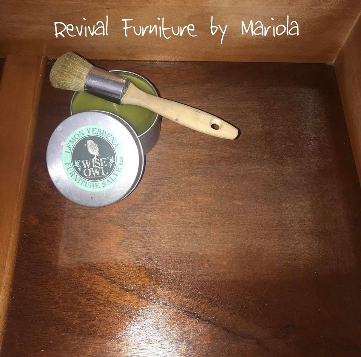 Bioluminescent Bae Furniture Salve Wise Owl Furniture Sealer Etsy