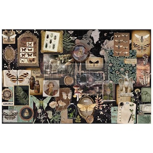 EDIZIONE LIMITATA - Carta velina per decoupage Herbarium Notes - Carta velina Redesign - Carta decorativa per mobili - 19" x 30"