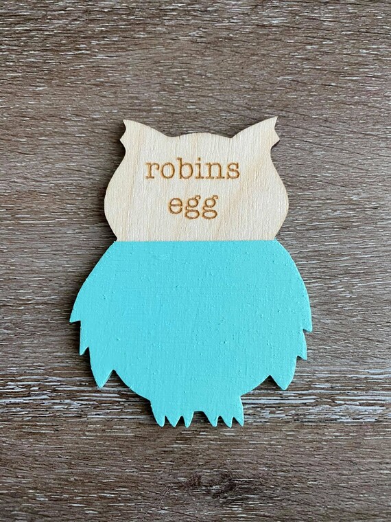 CSP - Robins Egg - Wise Owl Synthesis Paint - Zero VOC - Non Toxic Paint - Chalk Mineral Paint - Up to 80 square feet coverage