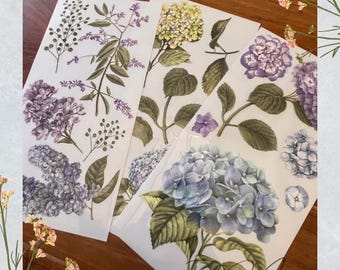 Mystic Hydrangea Furniture Transfer - Rub On Image - 3 Sheets (6" x 12")