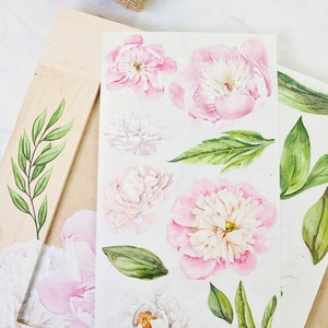 Morning Peonies - reDesign Decor transfer - Furniture Image Transfer - rub on image transfer - 3 sheets 6" x 12" each sheet