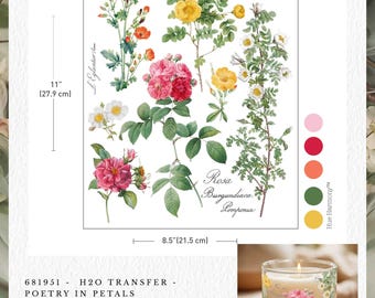 Poetry in Petals Water Transfer: Floral Furniture Decals (1 Sheet 8.5" x 11")