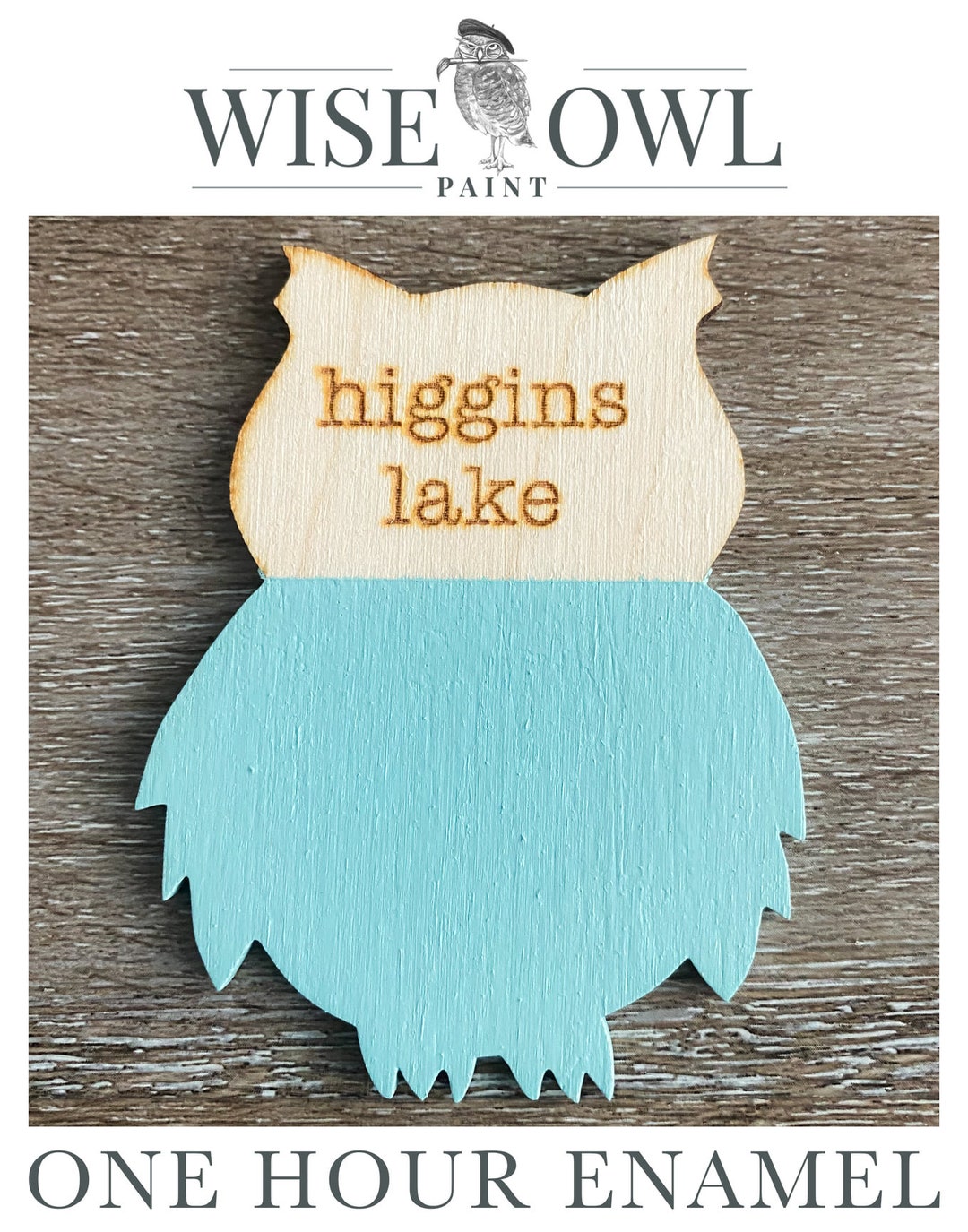 OHE HIGGINS LAKE One Hour Enamel Wise Owl Furniture Etsy