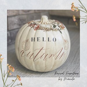Può includere: Zucca bianca con finitura rustica decorata con un motivo floreale e il testo "HELLO autumn".