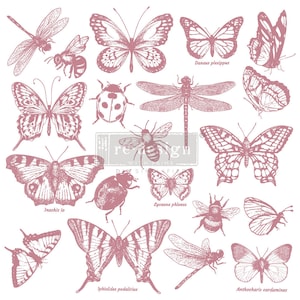 Könnte beinhalten: Eine Sammlung von rosa Schmetterlings- und Insektenillustrationen, darunter eine Libelle, ein Marienkäfer und eine Biene. Die Illustrationen sind im Vintage-Stil gehalten und perfekt für Scrapbooking, Kartenherstellung oder andere Bastelprojekte.