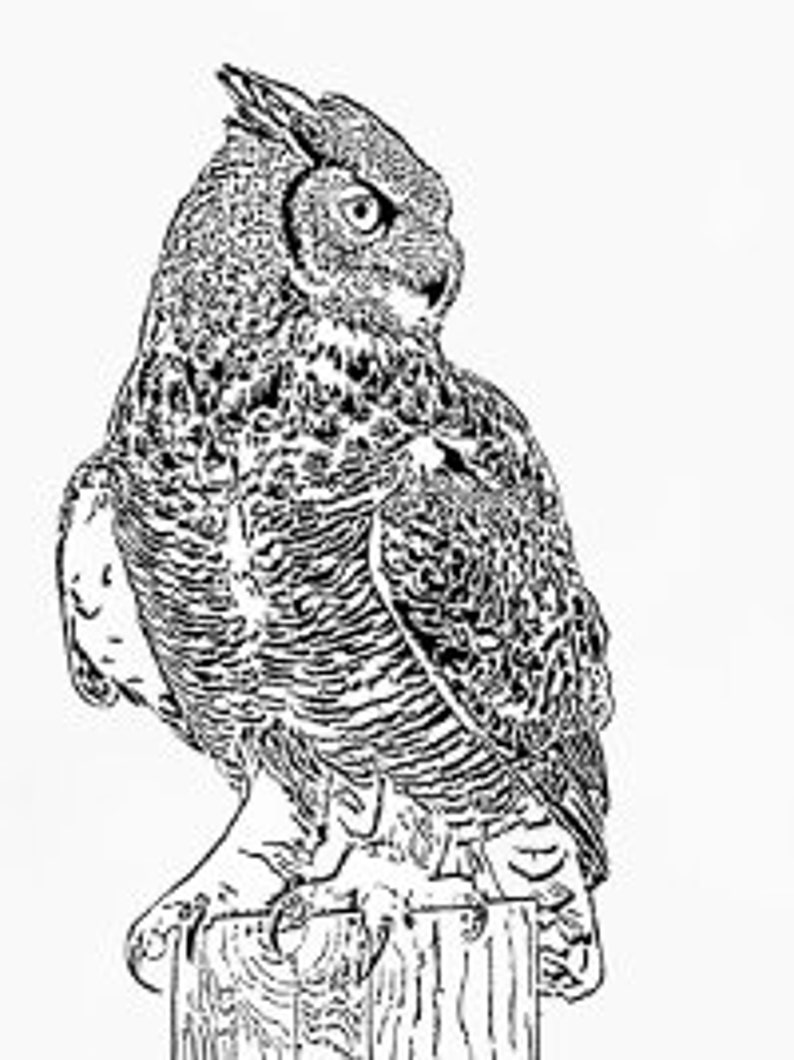 Great Horned Owl Scroll Saw Pattern Etsy