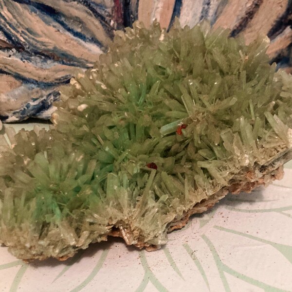 Rare Green Selenite, Large Blade-Tipped Bed of Gorgeous Crystals Promote Harmony and Joy