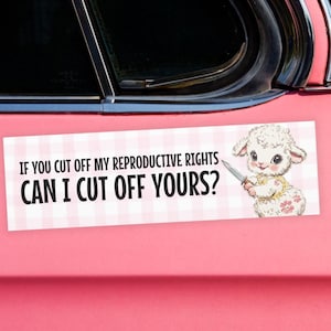 Feminist Car Magnet – If You Cut Off My Reproductive Rights Can I Cut Off Yours? | Pro Choice Magnet | Feminist Bumper Magnet |