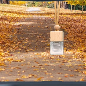 Hanging Glass Car Diffuser, Essential Oil Air Freshener, 30ml Refill