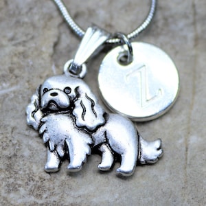 Personalisierte Cavalier King Charles Spaniel Hundehalskette, CKCS Hundeliebhaber Halskette mit Initiale, Geschenk für Sie, Geschenk für Ihn