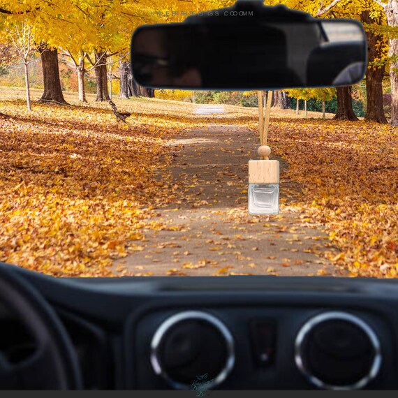 Flacons Diffuseurs Voiture En Verre - Lot De 10 - Pour Huiles Essentielles - Désodorisant Personnalisable
