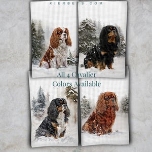 May include: Four Cavalier King Charles Spaniel dogs in different colors, sitting in a snowy winter forest scene. The dogs are all facing forward and have their tongues out. The text "All 4 Cavalier Colors Available" is written below the dogs.
