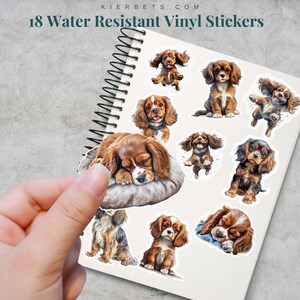 Cavalier King Charles Spaniels Resistente à Água Fosco Holográfico Brilhante 18 Adesivos de Vinil para Copo, Agenda, Diário de Marcadores, Laptop