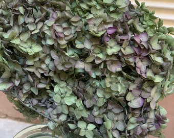 Preserved hydrangea green mix purple D22cm, wedding bunch, DIY jewelry tool