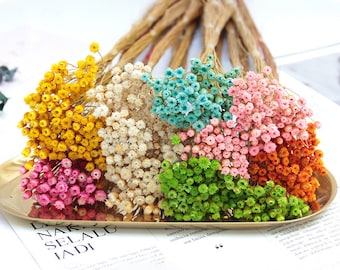 60 pc mini bunch happy flower, jazilda, straw flower dried flower, rustic decoration, handmade, resin DIY flower