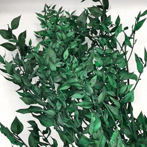 Preserved Ruscus Dark Green Painted, Preserved Foliage, Leaf