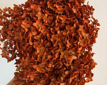 Preserved hydrangea métallique orange rouille terra-cotta, D18-20cm, hortensia, decoration de mariage, DIY