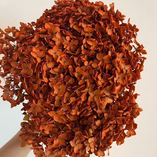 Preserved metallic hydrangea rust orange terra-cotta, D18-20cm, hydrangea, wedding decoration, DIY