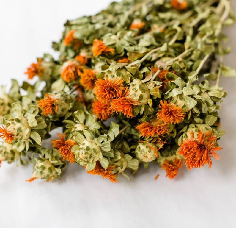 Safflower Dried Carthamus Orange Dried Flowers Bunch 100g Etsy