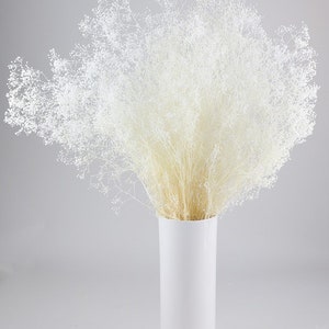 Preserved baby breath Gypsophila 100g bunch, white bouquet, dried white rustic flower, misty flower