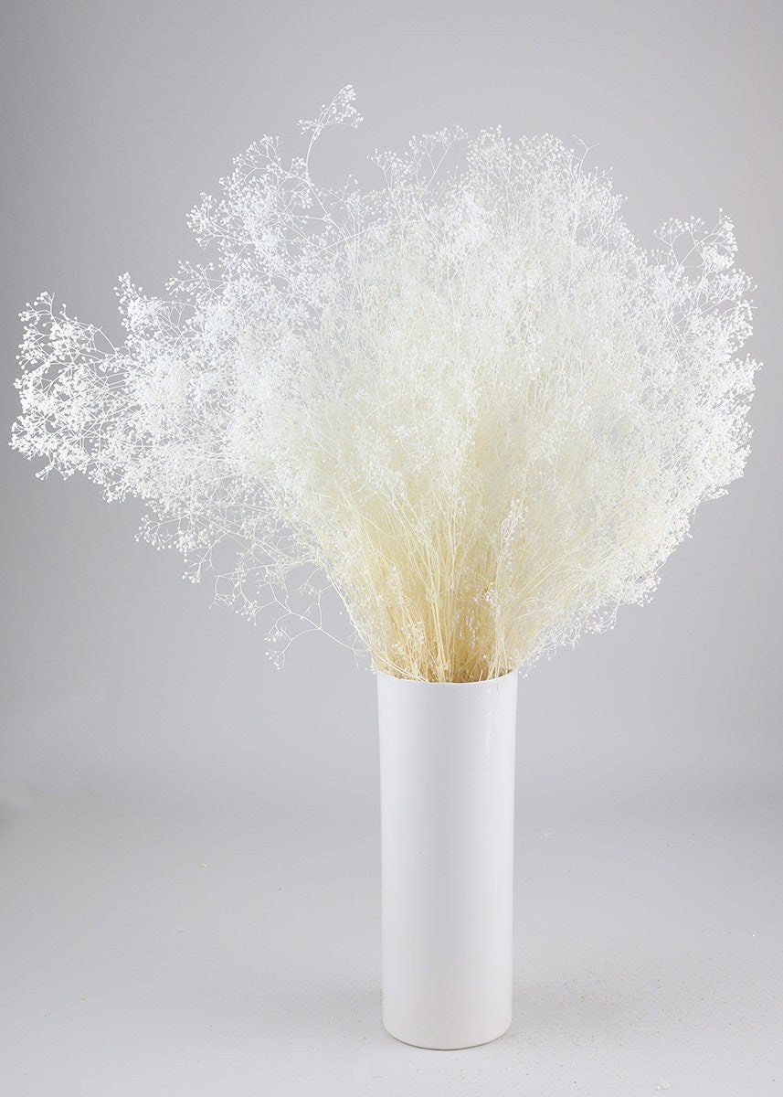 Preserved Baby Breath Gypsophile 100G Bunch, White Bouquet, Dried Rustic Flower, Misty Flower