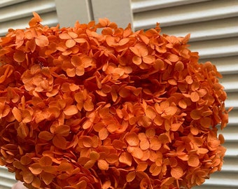 Hortensias naranjas - Etsy España