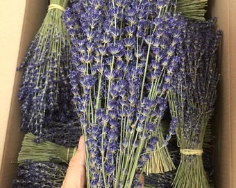True lavender bunch from Provence, lavande super bleu, french lavender,