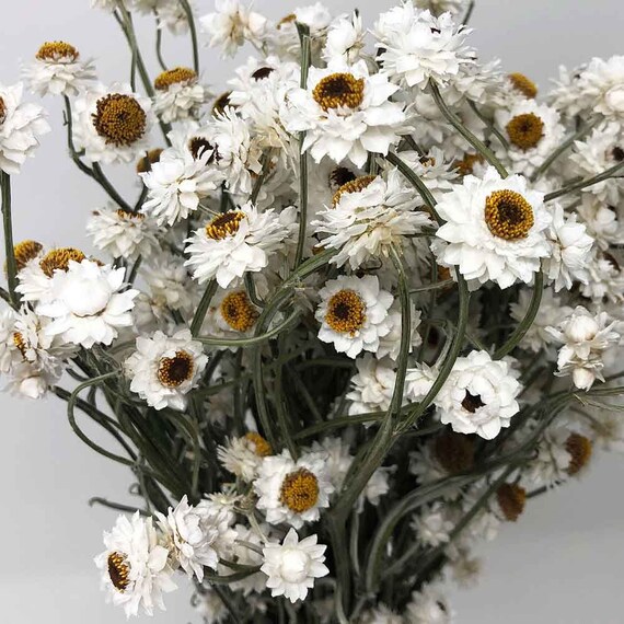 CHAMONIX bouquet bianco decorazione invernale fiori di cotone ed