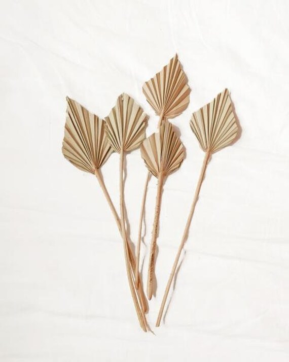x5 Natural Dried Mini Palm Spear, Home Decor, Wedding Boho Style