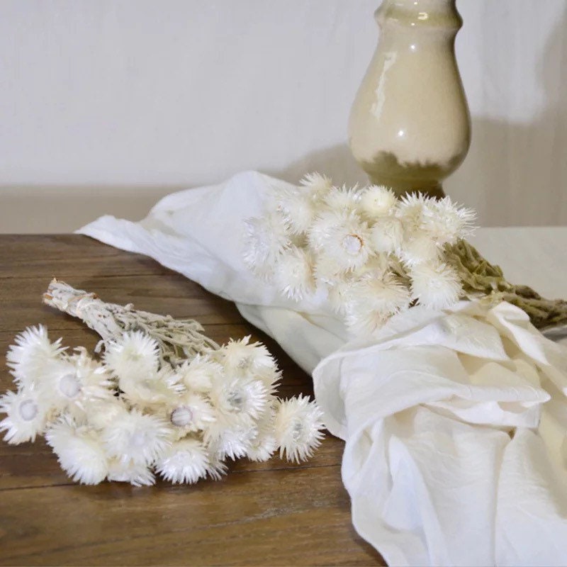 Chrysantheme Bleached 50G/Bunch