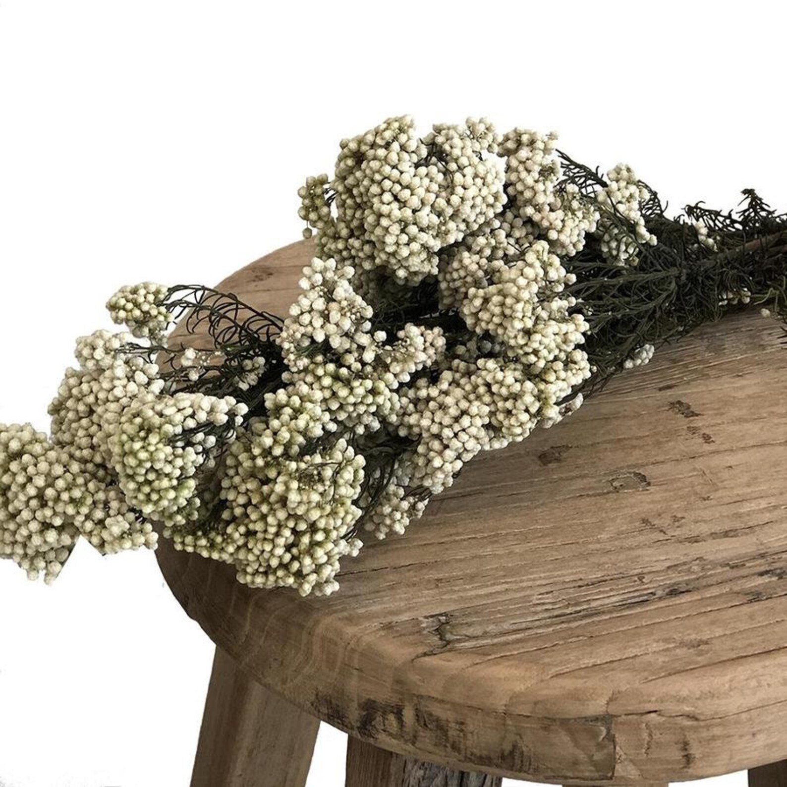 Preserved Rice Flowers Dried Bouquet 100g per Bunch White Etsy Australia