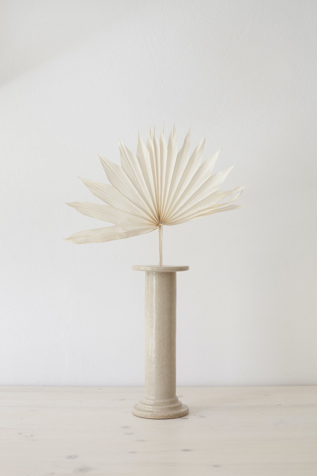 Dried Sun Palm Leave Bleached, White Palm, Rustic Decoration