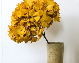Preserved hydrangea golden saffran brand , Diy resin, jewelery, home decoration