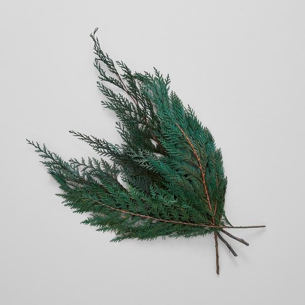 Preserved green natural color cedar, cedar branch, preserved leave 120g per bunch