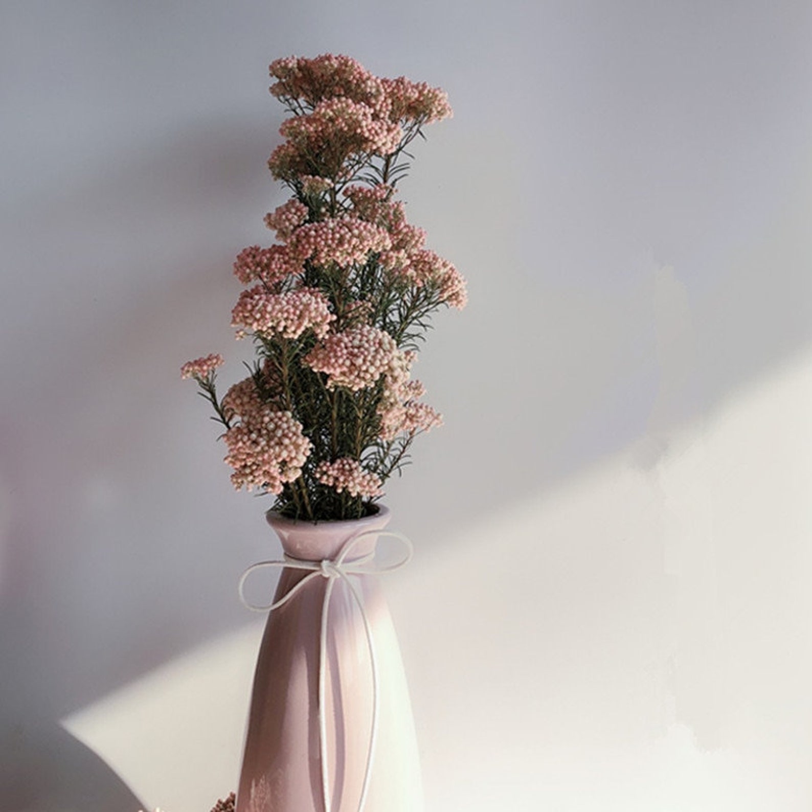 Preserved Rice Flowers dried bouquet 100g per bunch White Etsy