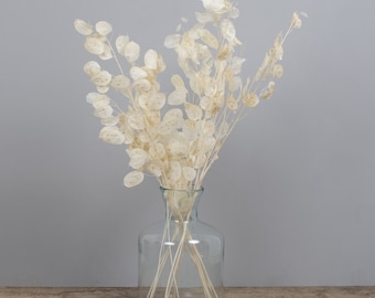 Mini bunch bleached preserved lunaria biennes short stems 20-25cm, stabilized Pope's currency