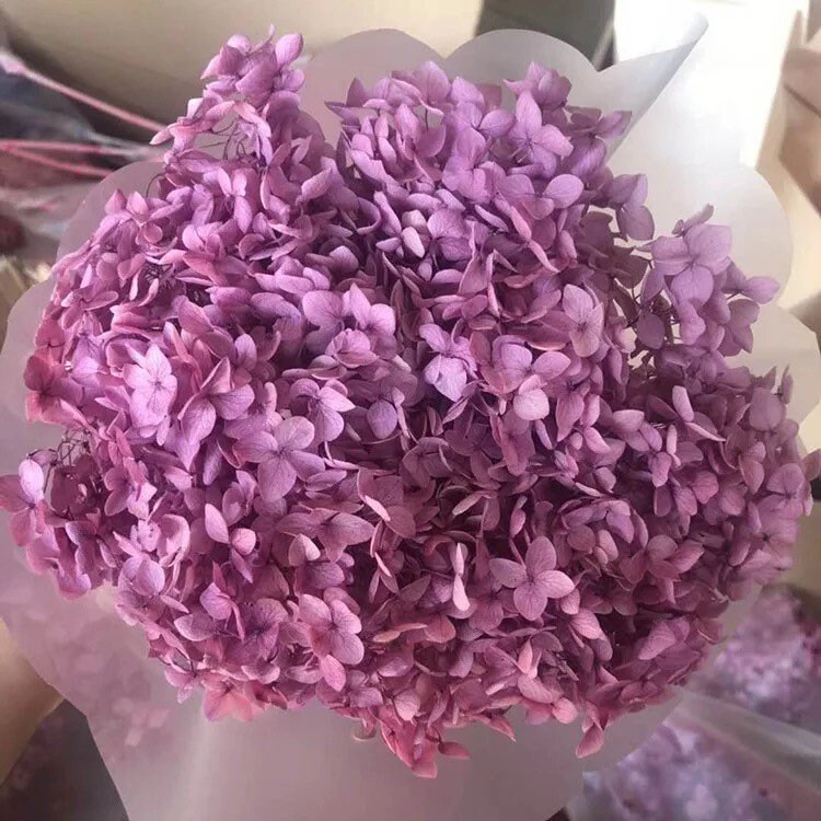 Preserved Hydrangea Light Purple Grappe D18cm