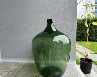 Rare huge Demijohn carboy 30L dark green moss Alsatian lady jeanne cicara 1900s, saber neck