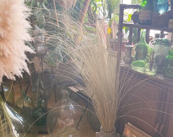 Beach bear grass dried, beach grass decoration, dried fountain grass, Dune grass 200g