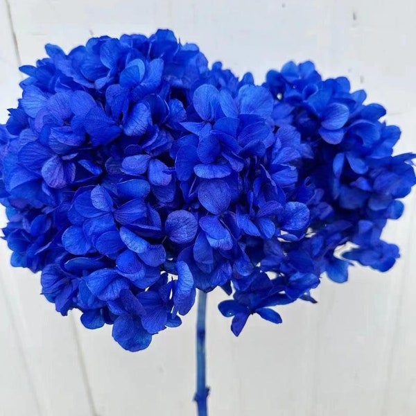 Big petal preserved hydrangea blue royal color, Resin/Jewelry DIY, home decoration