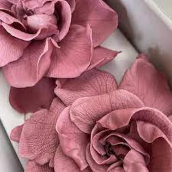 Preserved gardenia pack of 3 vintage pink, preserved flower