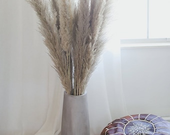 Extra fluppy Long stem pampas taupe brown color, rustic decoration