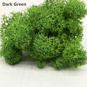 Spring Green Preserved Reindeer Moss, mosse stabilise, wall decoration, wall hanging tool, interior decoration