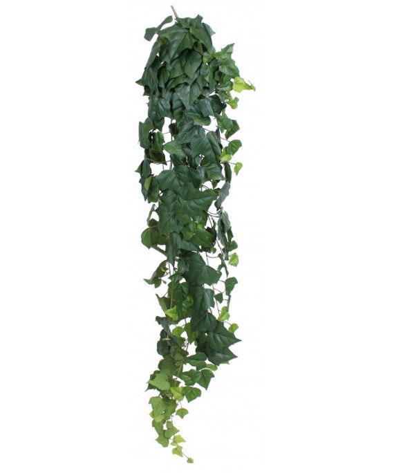 Edera stabilizzata verde rampicante appesa edera hedera helix edera cadente  70-90 cm decorazione da parete ghirlanda verde decorazione da soffitto -   Italia