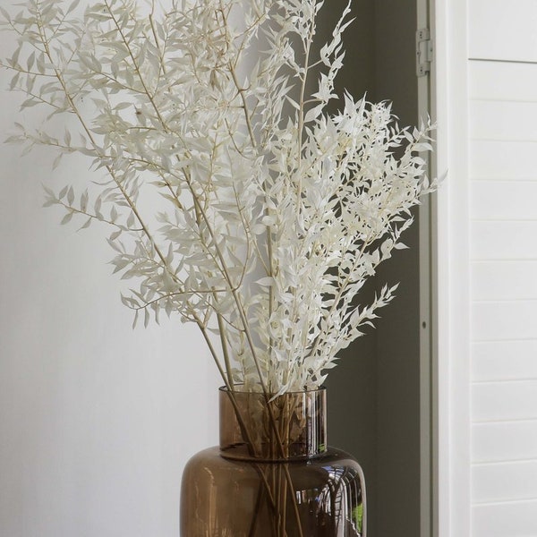 Preserved Ruscus bleached, everlasting white bunch, rustic decoration H70-80cm