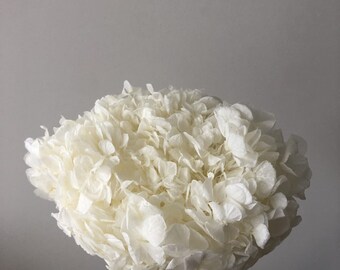 Big petal white bleached Preserved hydrangea, hydrangea, bridalflower, jewelry tool