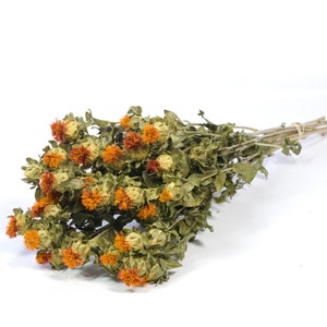 Safflower dried Carthamus orange dried flowers bunch 100g image 3